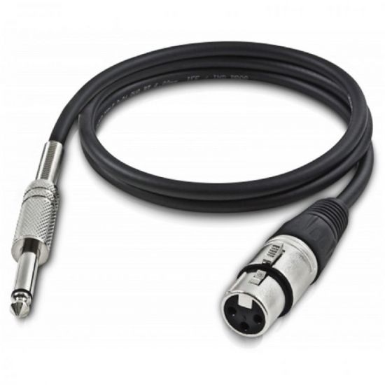 CABO SIMPLES P10 + XLR CANNON FEMEA 10MTS